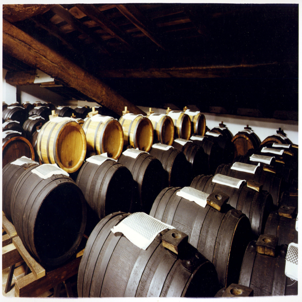 ACETAIA_DEL_CRISTO_sottotetto_paradiso (1)